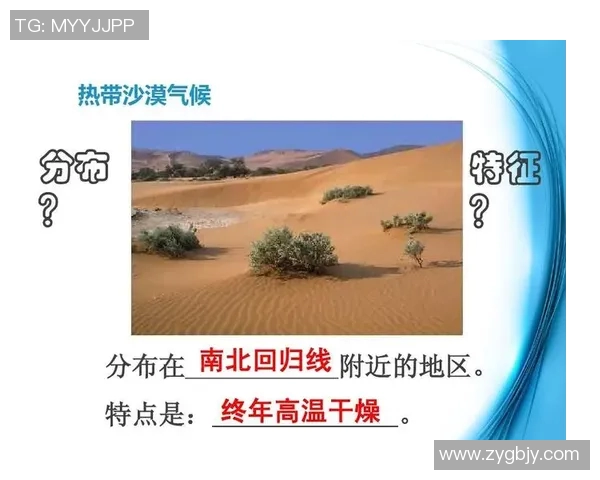 泰国与新加坡气温对比分析探讨热带气候的异同与影响